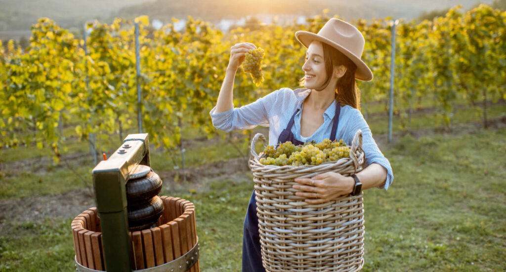 woman-making-wine-vineyard-experience